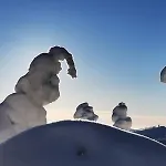 Villa Ruka Metsola Kuusamo