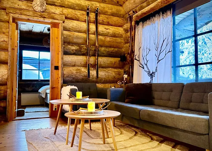 Ruka Metsola Villa *