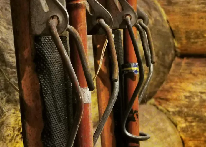 Ruka Metsola Villa Kuusamo