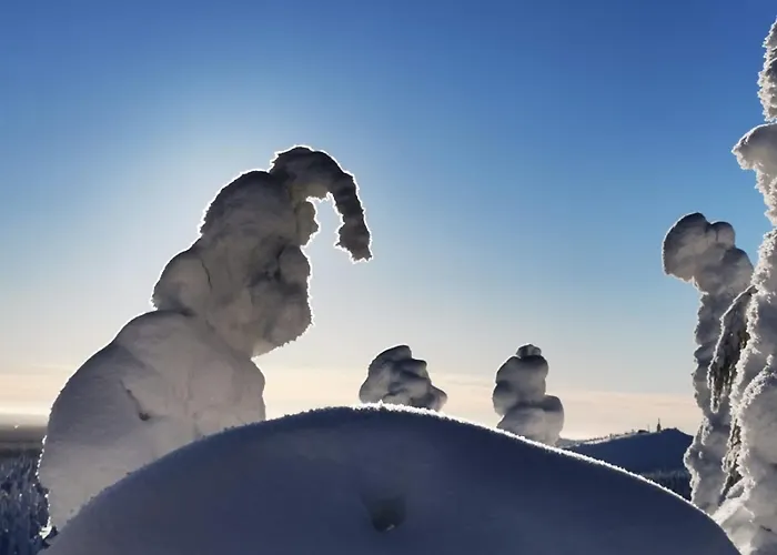 Villa Ruka Metsola Kuusamo